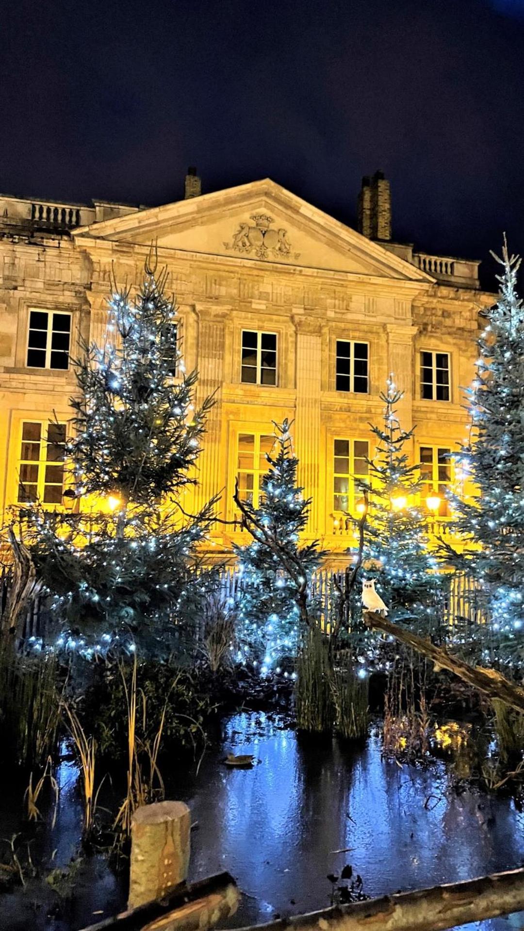 Cocon Lumineux Proche De La Ville Fortifiee Et De Nausicaa Boulogne-sur-Mer Exteriér fotografie