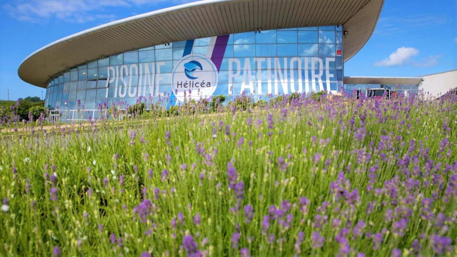 Cocon Lumineux Proche De La Ville Fortifiee Et De Nausicaa Boulogne-sur-Mer Exteriér fotografie